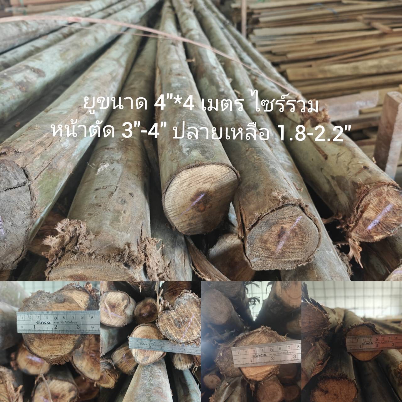 ไม้ยูคา 4" × 4 ม. ไซส์รวม
