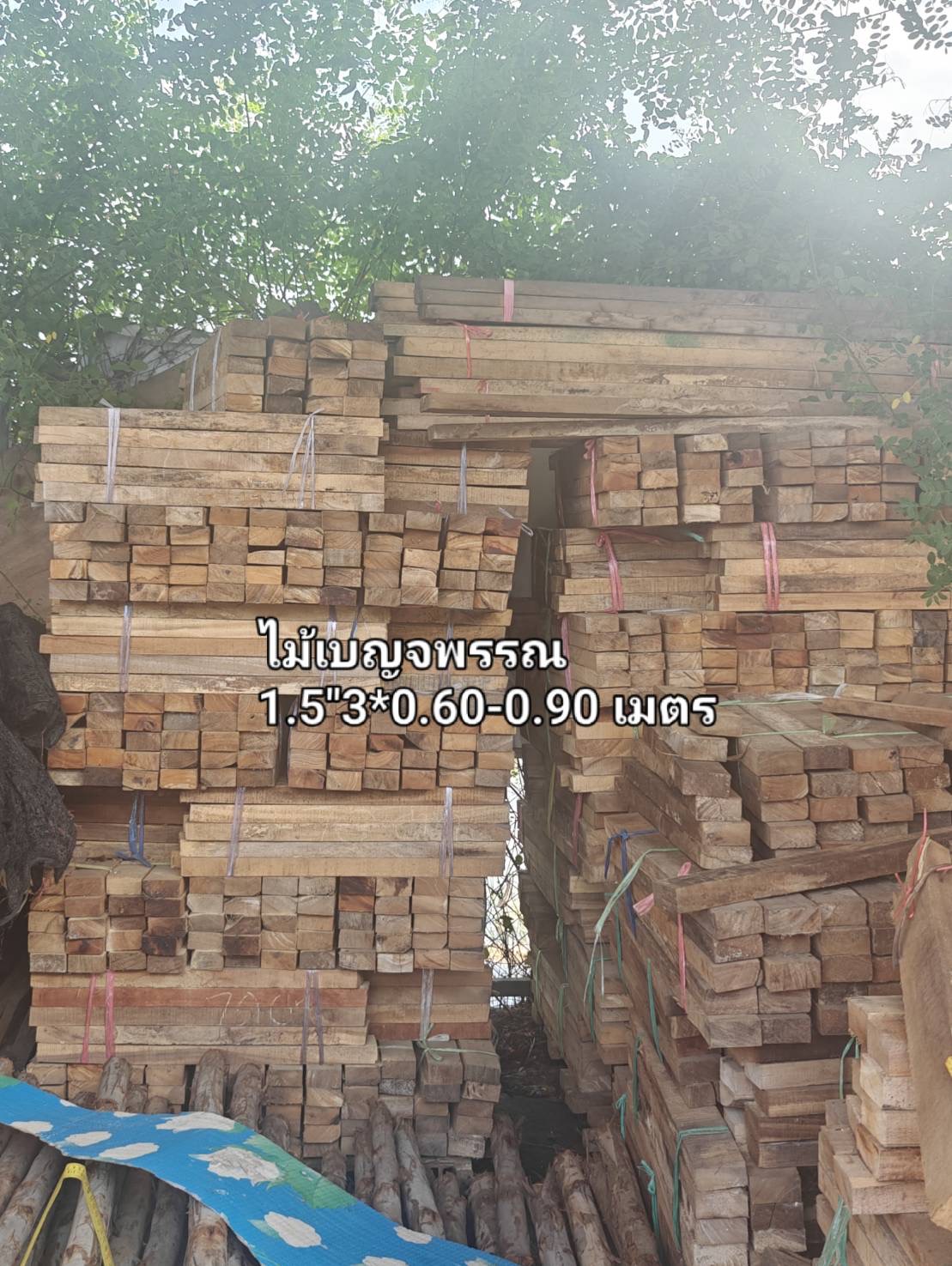 ไม้เบญจพรรณ 1.5" × 3" × 0.60–0.90 ม. (ภาพรวมหลายความยาว)