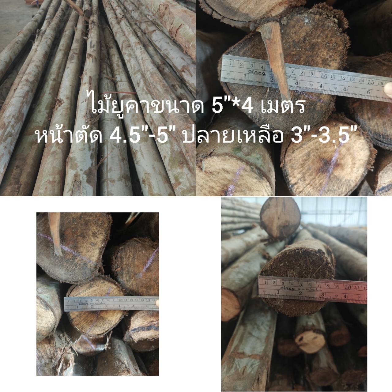 ไม้ยูคา 5" × 4 ม.