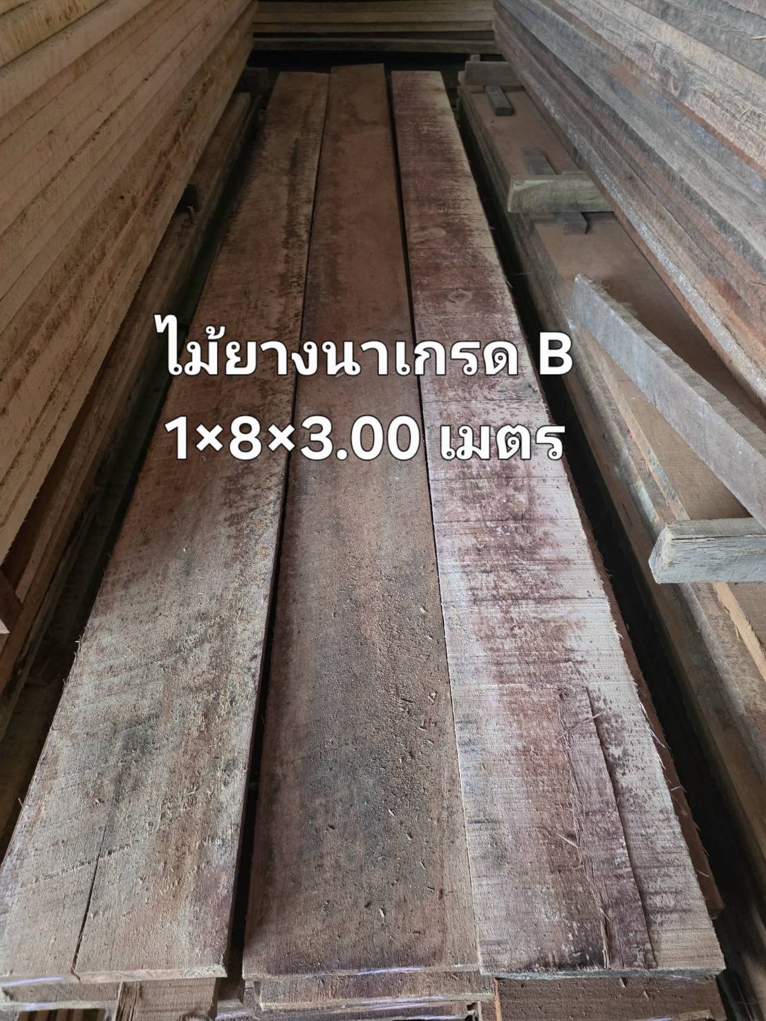 ไม้ยางนาเกรด B 1" × 8" × 3.00 ม.