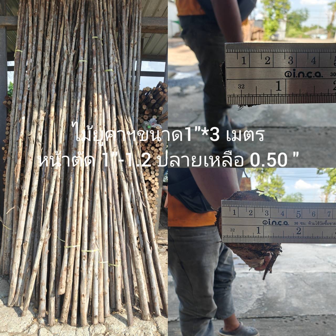 ไม้ยูคา 1" × 3 ม.